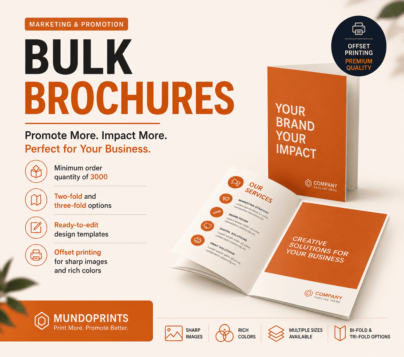 Bulk Brochures